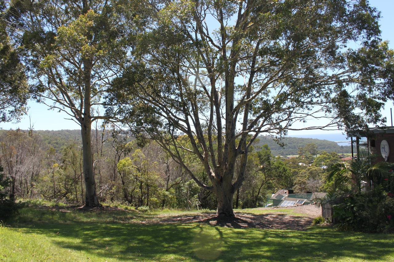 Hillcrest Merimbula Eksteriør bilde